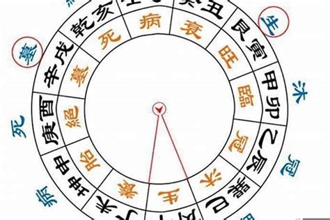 月柱偏財女|八字命理知識：財星出現在年、月、日、時的不同作用